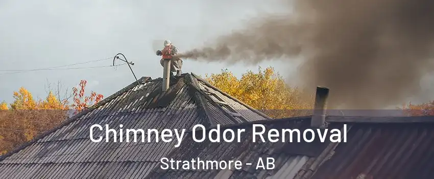  Chimney Odor Removal Strathmore - AB