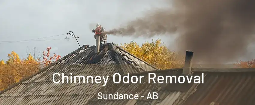 Chimney Odor Removal Sundance - AB