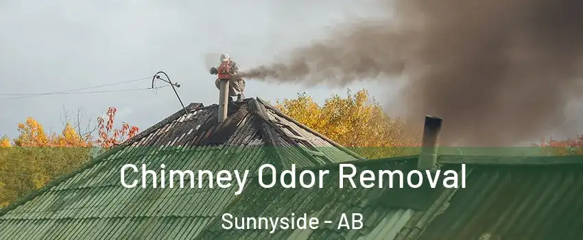  Chimney Odor Removal Sunnyside - AB