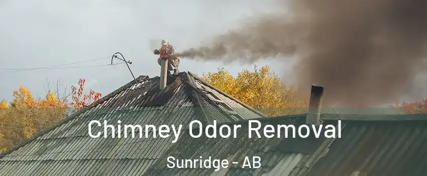  Chimney Odor Removal Sunridge - AB