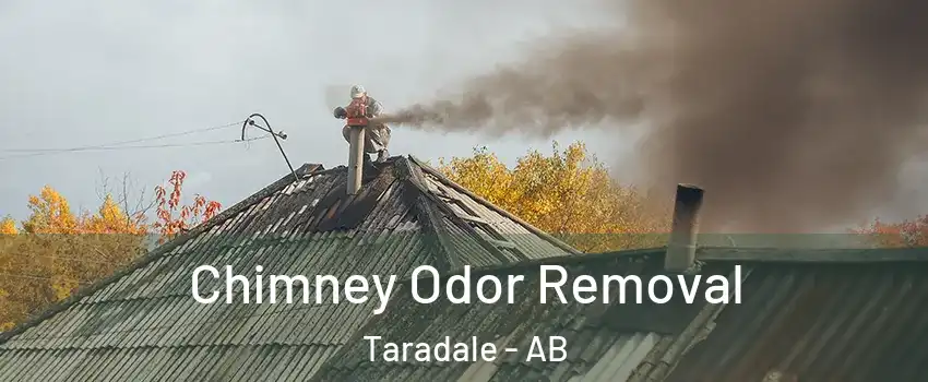  Chimney Odor Removal Taradale - AB
