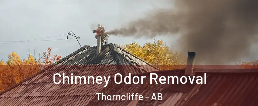 Chimney Odor Removal Thorncliffe - AB
