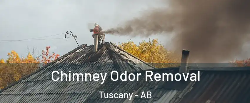  Chimney Odor Removal Tuscany - AB