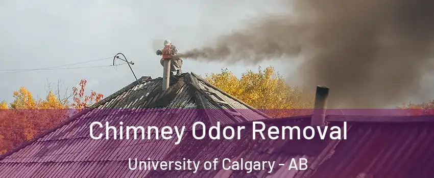  Chimney Odor Removal University of Calgary - AB