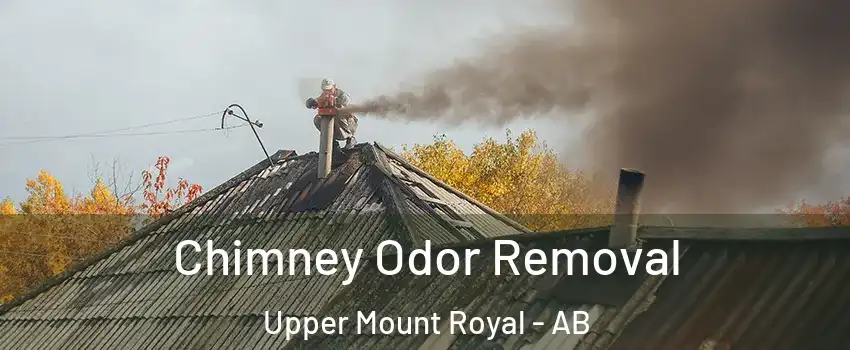  Chimney Odor Removal Upper Mount Royal - AB
