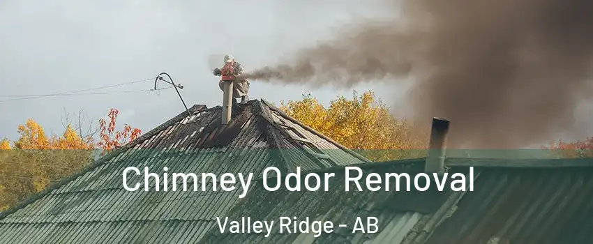  Chimney Odor Removal Valley Ridge - AB