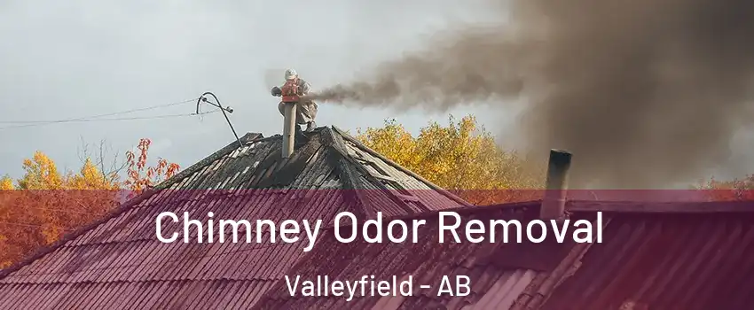  Chimney Odor Removal Valleyfield - AB