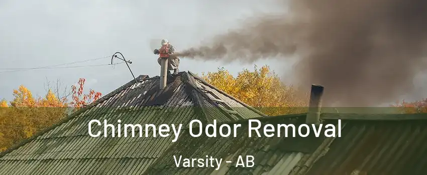  Chimney Odor Removal Varsity - AB