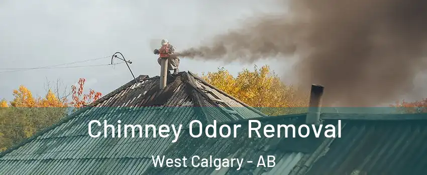  Chimney Odor Removal West Calgary - AB