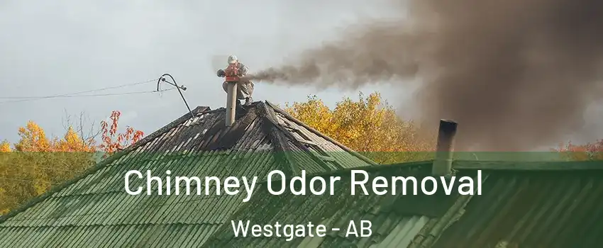  Chimney Odor Removal Westgate - AB