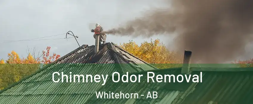  Chimney Odor Removal Whitehorn - AB