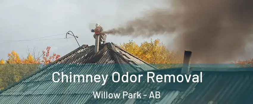  Chimney Odor Removal Willow Park - AB