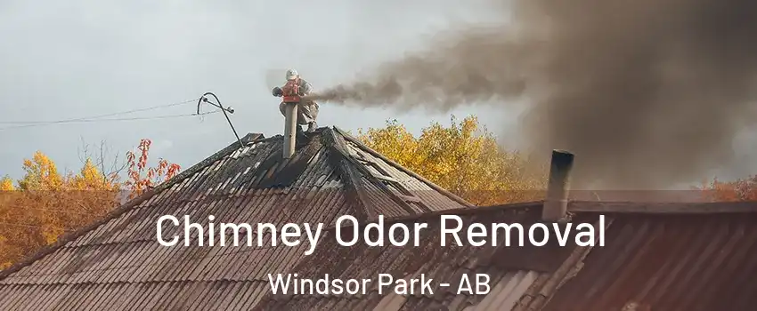  Chimney Odor Removal Windsor Park - AB