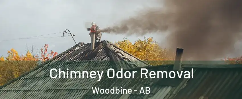  Chimney Odor Removal Woodbine - AB