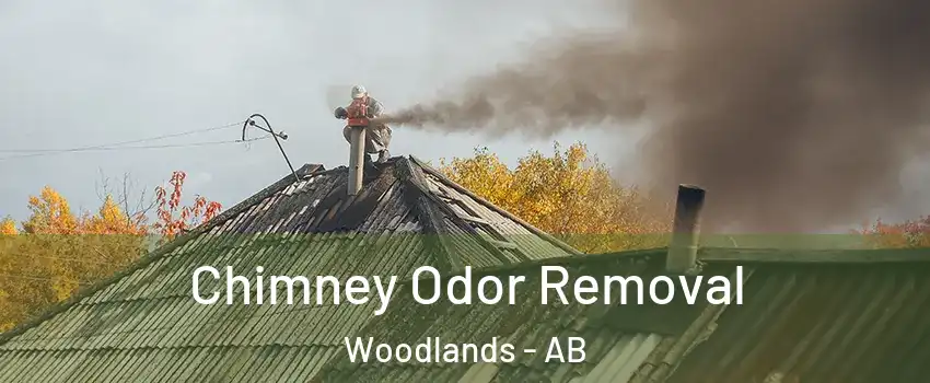  Chimney Odor Removal Woodlands - AB