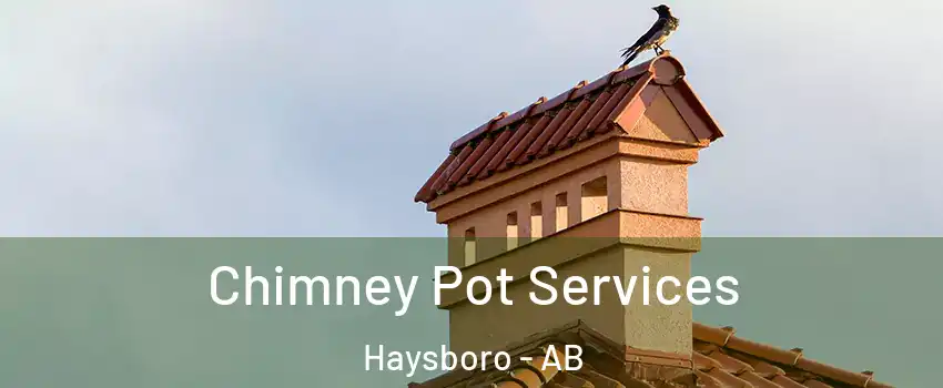  Chimney Pot Services Haysboro - AB