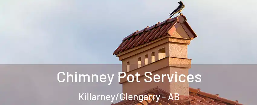  Chimney Pot Services Killarney/Glengarry - AB