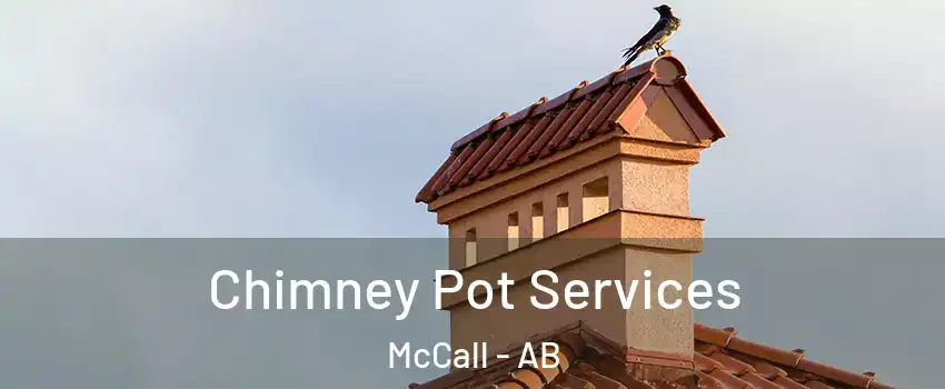  Chimney Pot Services McCall - AB