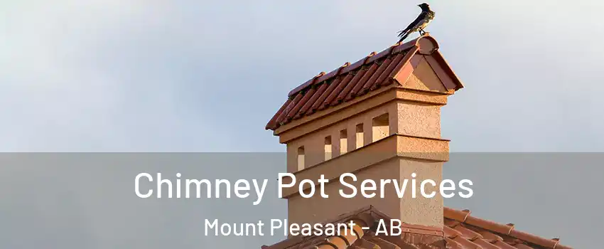  Chimney Pot Services Mount Pleasant - AB