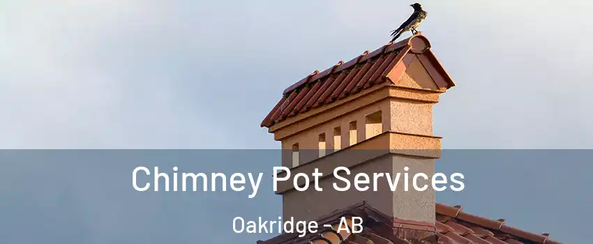 Chimney Pot Services Oakridge - AB