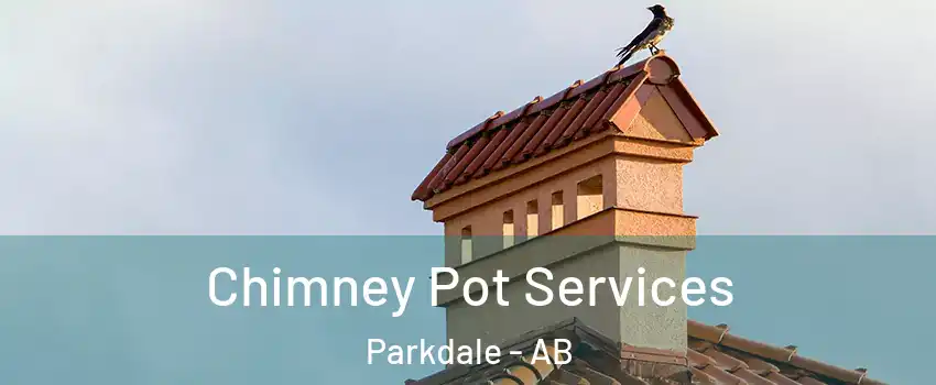  Chimney Pot Services Parkdale - AB