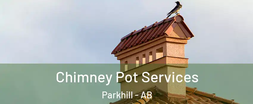  Chimney Pot Services Parkhill - AB