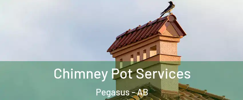  Chimney Pot Services Pegasus - AB
