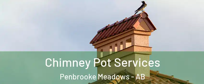  Chimney Pot Services Penbrooke Meadows - AB