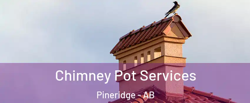  Chimney Pot Services Pineridge - AB