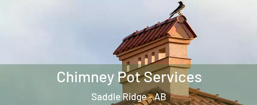  Chimney Pot Services Saddle Ridge - AB