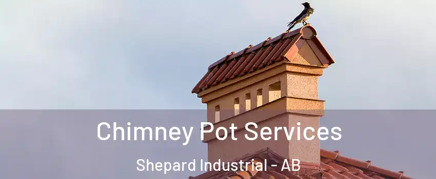 Chimney Pot Services Shepard Industrial - AB