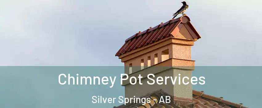  Chimney Pot Services Silver Springs - AB