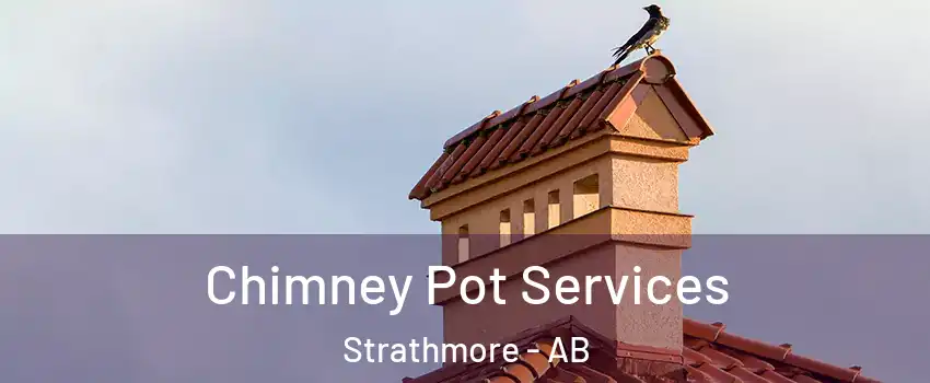  Chimney Pot Services Strathmore - AB