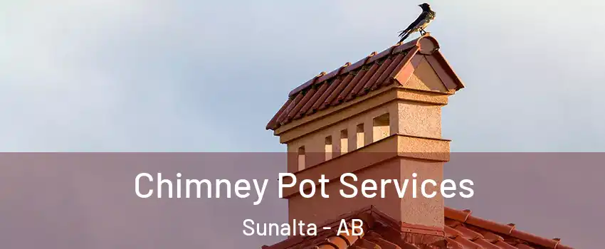  Chimney Pot Services Sunalta - AB