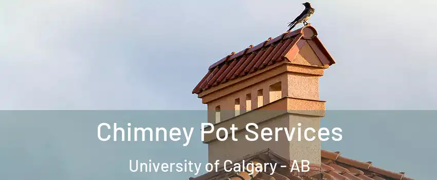  Chimney Pot Services University of Calgary - AB