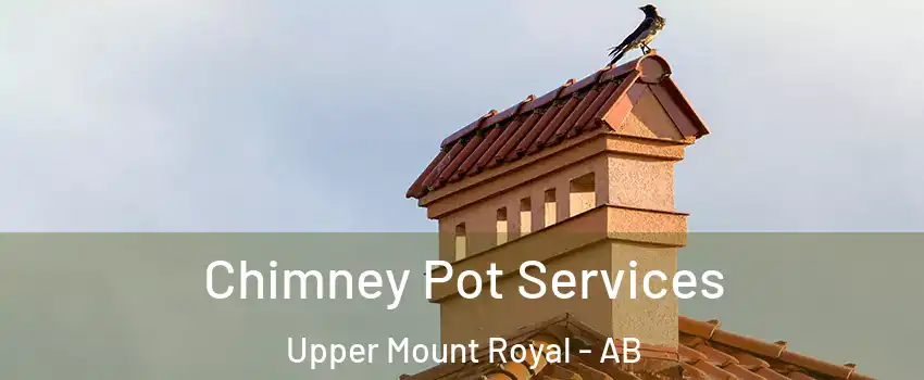  Chimney Pot Services Upper Mount Royal - AB