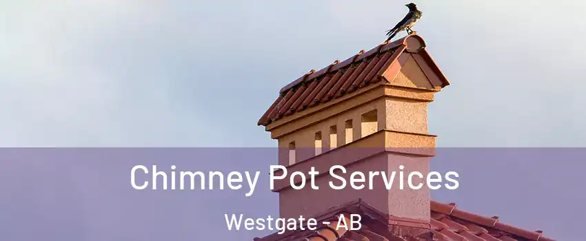  Chimney Pot Services Westgate - AB