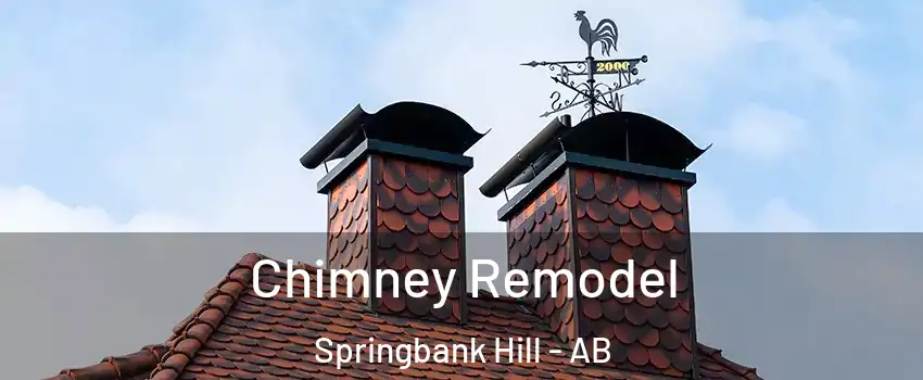  Chimney Remodel Springbank Hill - AB