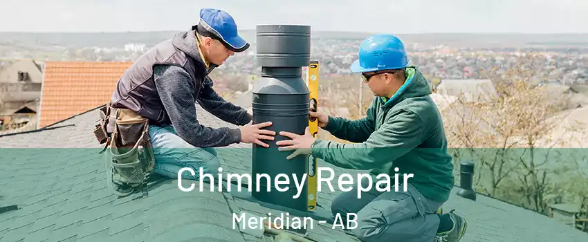  Chimney Repair Meridian - AB