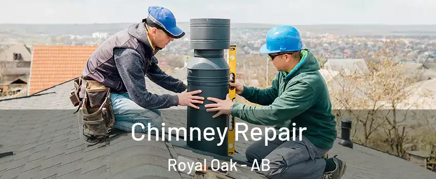  Chimney Repair Royal Oak - AB