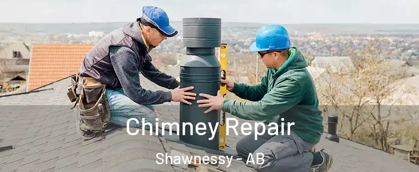  Chimney Repair Shawnessy - AB