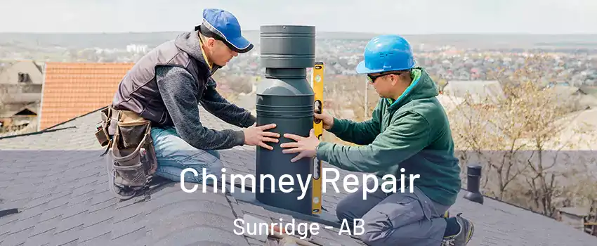  Chimney Repair Sunridge - AB