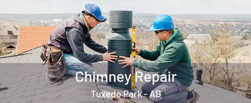  Chimney Repair Tuxedo Park - AB