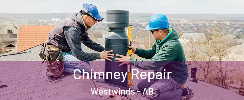  Chimney Repair Westwinds - AB