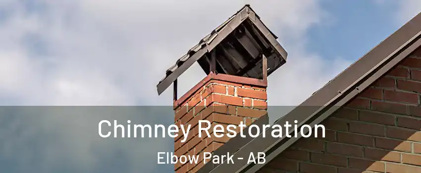  Chimney Restoration Elbow Park - AB