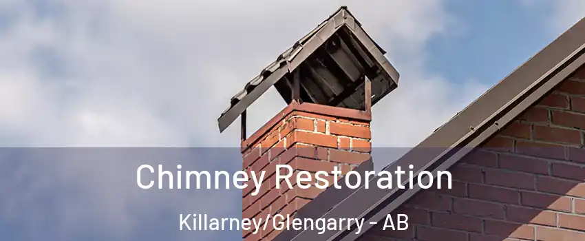  Chimney Restoration Killarney/Glengarry - AB