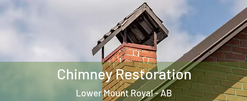  Chimney Restoration Lower Mount Royal - AB