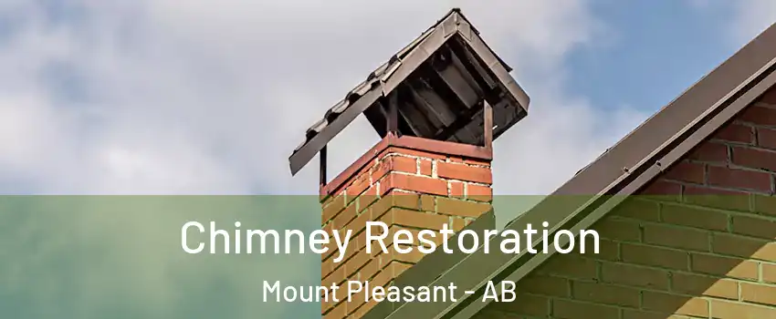  Chimney Restoration Mount Pleasant - AB