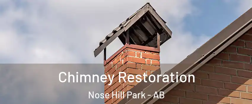  Chimney Restoration Nose Hill Park - AB