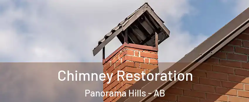  Chimney Restoration Panorama Hills - AB